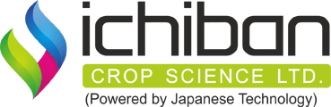 Ichiban Crop Science